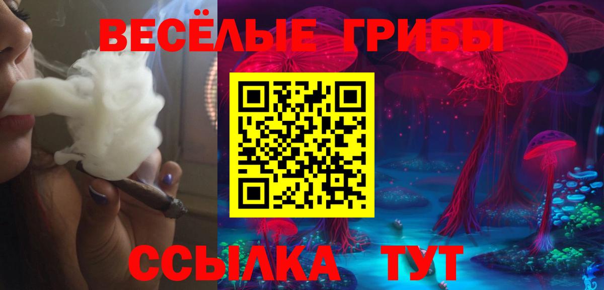 Псилоцибиновые грибы GOLDEN TEACHER Удомля